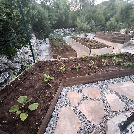 Villa Ilir Neum Kültér fotó